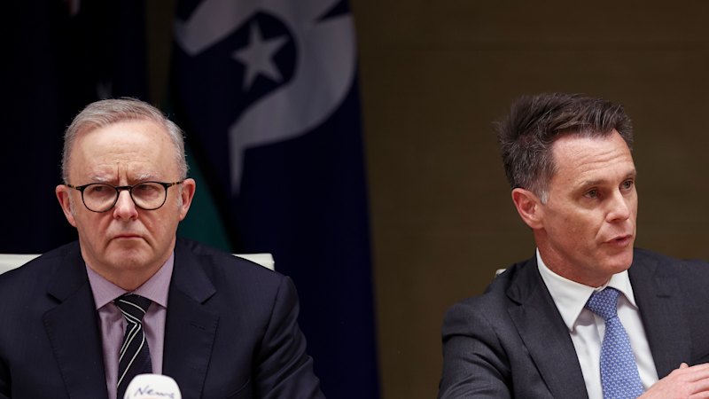 Albanese, Chalmers under internal pressure on spending as Minns calls for restraint