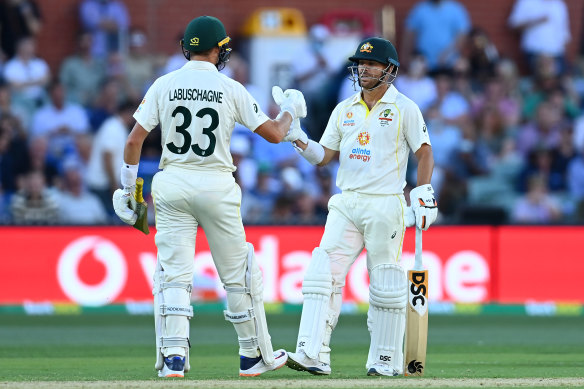 David Warner and Marnus Labuschagne laid the foundation for Australia with patient and conscientious batting.