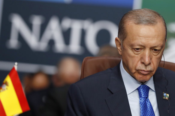 Turkish President Recep Tayyip Erdogan at a meeting of the North Atlantic Council during a NATO summit in Vilnius, Lithuania, in July.