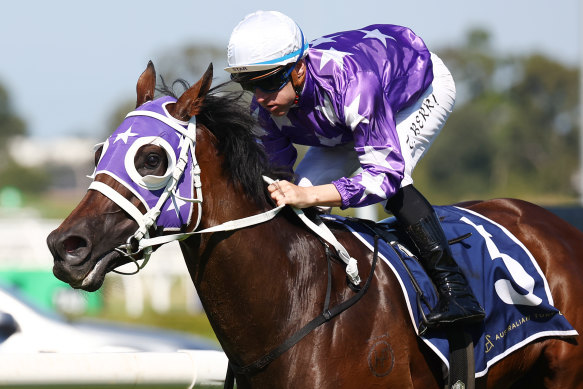 Olentia is one of three favourites Berry will ride at Rosehill.