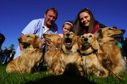 Family day out: Lesley Calverley with husband Paul and granddaughter Eva Williams, 5, and the Calverleys’ five dachshunds.