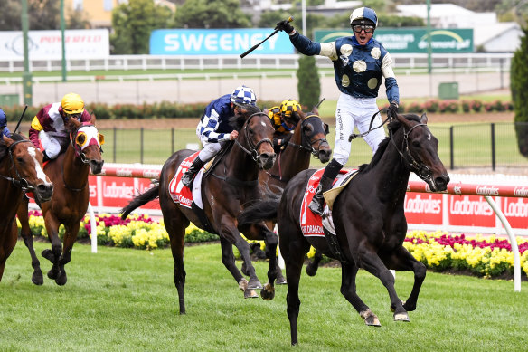 Glen Boss salutes as Sir Dragonet takes out the Cox Plate last year.