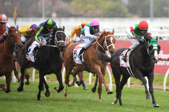 The MRC has pitched the idea of moving the Caulfield Cup to late November, but widespread industry support is required.