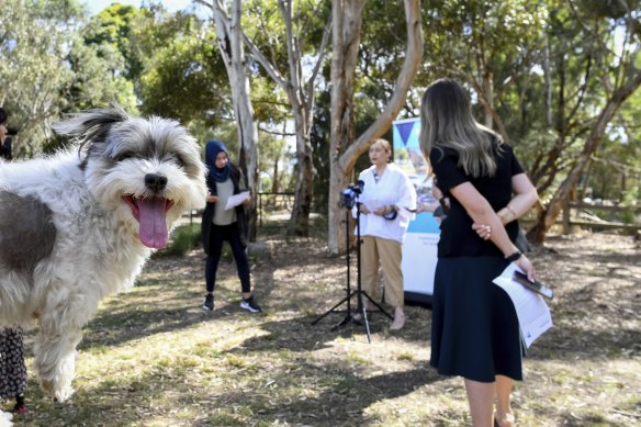 A cheeky Koukla watches on as Environment Minister Lily D’Ambrosio announces 18 new parks. 