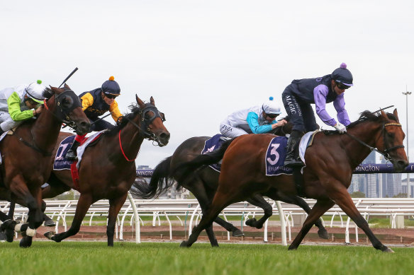 Rapid Racing will return to Flemington this summer, but the silks will change after the club received feedback on the difficulty in differentiating runners.