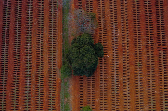 An aerial view of open graves amidst the coronavirus pandemic at Vila Formosa Cemetery in Sao Paulo, Brazil.