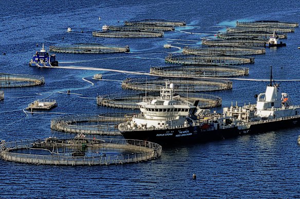 Salmon farming near Huon and Bruny islands in southern Tasmania.