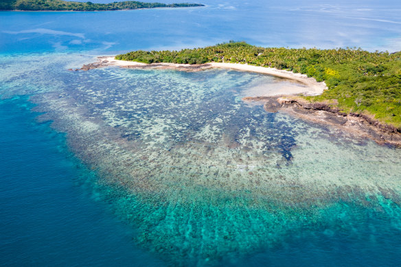 Prime snorkelling… off the coast of Drawaqa Island.