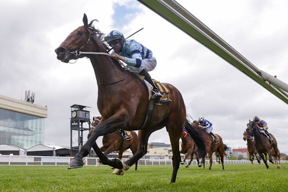 Pushing to victory: Daisies with Damian Lane aboard.