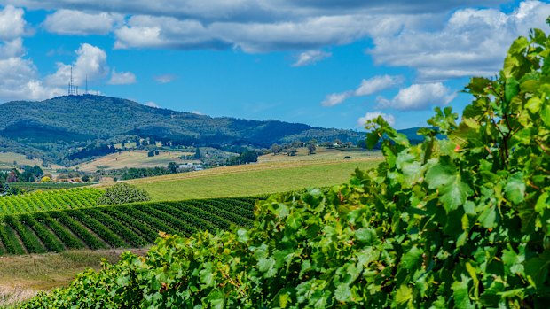 Orange is known for its wine and foodie culture.