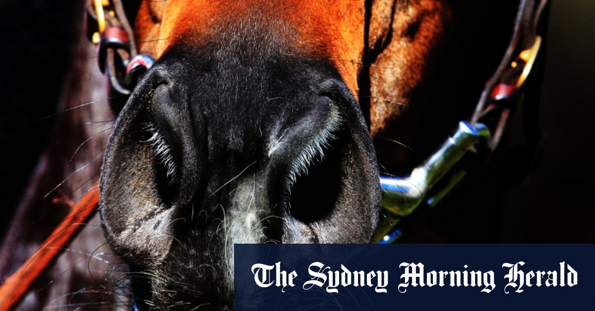 Race-by-race preview and tips for Coffs Harbour on Friday