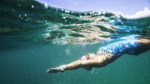 Ocean swimmer Lauren Tishendorph, who swims around the eastern suburbs, said the water had been noticeably warm since the end of last year.