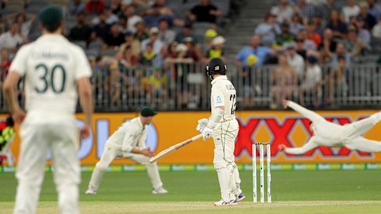 Reaction time: Steve Smith dives to catch and remove Kane Williamson.