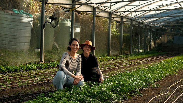 brisbanetimes.com.au - Matt Shea - Can't get into Joy? Because its chef is hosting a long lunch at this bucolic urban farm