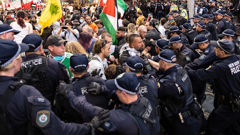 Labor MPs back investigation into police behaviour at Sydney protest