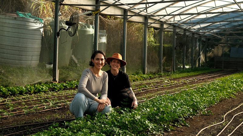 Can’t get into Joy? Because its chef is hosting a long lunch at this bucolic urban farm