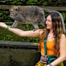 We wouldn’t get this close to wildlife in Australia. 
