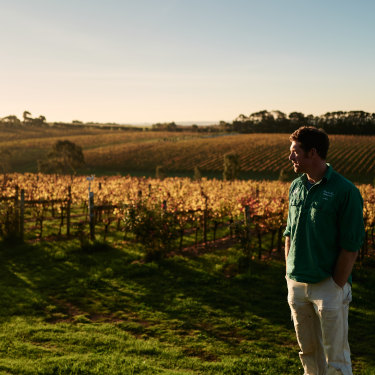 Winemaker Nick Farr in the vineyards of Wine by Farr, producers of what critic Huon Hooke describes as “a stunning 
line-up”.