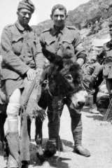 John Simpson Kirkpatrick and his donkey help a wounded soldier at Gallipoli. 