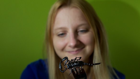 Skye Blackburn's edible insect range includes scorpions. 