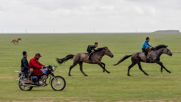 Children race horses in Mongolia.