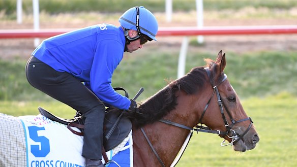 Cross Counter at work at Werribee.