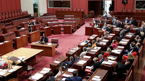 Only Pauline Hanson and Malcolm Roberts (left) voted against a motion condemning Bettina Arndt's comments.