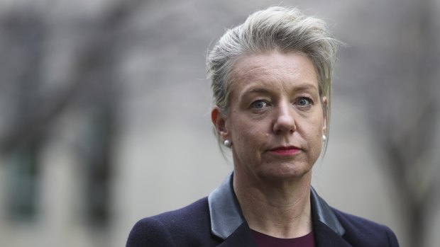 Bridget McKenzie says too many MPs want to be fashionable about climate change.