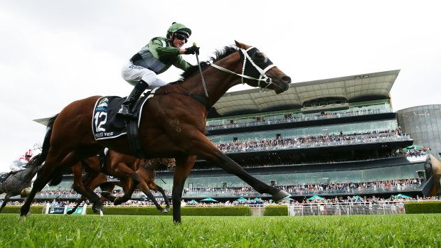 Glen Boss pilots Yes Yes Yes to victory in front of the Randwick grandstand.
