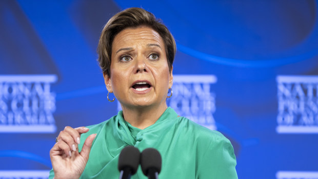 Minister for Communications Michelle Rowland at the National Press Club on Wednesday.