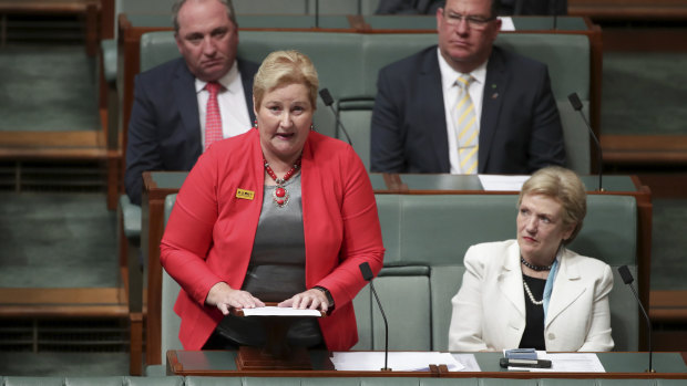 Liberal MP Ann Sudmalis attacks colleagues during a  speech to Parliament on Monday night. 
