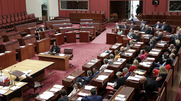 Only Pauline Hanson and Malcolm Roberts (left) voted against a motion condemning Bettina Arndt's comments.