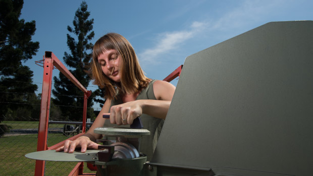 QUT researcher Dr Andelija Milic removes the pollen drum from the pollen trap at Rocklea in Brisbane's south.