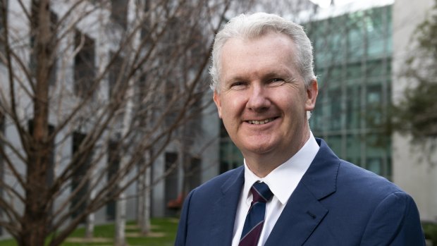 Workplace Relations Minister Tony Burke says industry-wide bargaining could help close the gender pay gap.
