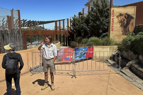 The African Lion enclosure at Taronga Zoo where several lions escaped on Wednesday morning was closed on Thursday.