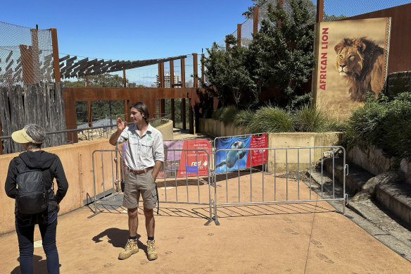 Taronga Zoo lion escape: questions over cause of breakout at tourist