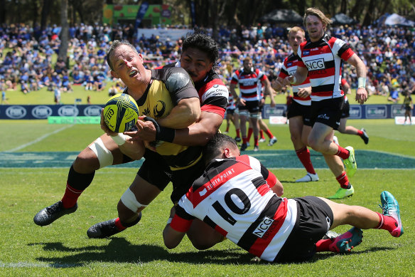 The National Rugby Championship had either eight or nine teams between 2014 and 2019 before it was cruelled by the pandemic.