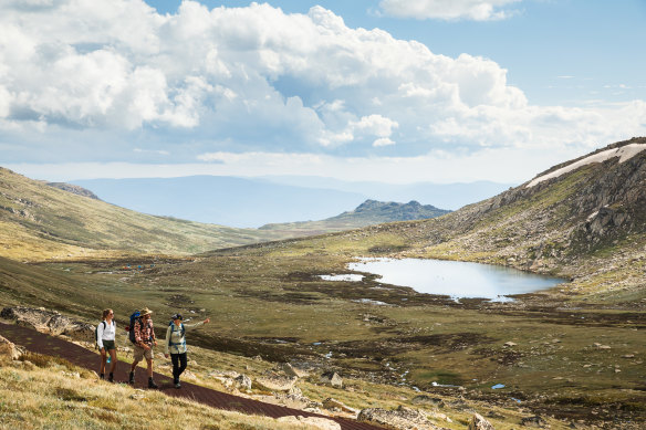 Views of high-country plains and snow-capped mountains on the Thredbo trek.