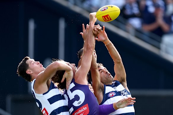 Shannon Neale of the Cats, Alex Pearce of the Dockers and Jack Martin of the Cats compete for a mark.