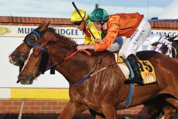 Racing returns to Wagga on Sunday with an eight-card for Murrumbidgee Cup day.