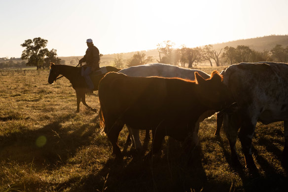 Australia is telling the UK that fears of a flood of Aussie beef into the market are unfounded.