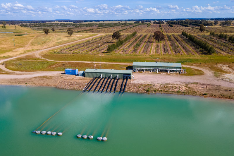 goFARM will convert the Dellapool property to higher-yielding crops.