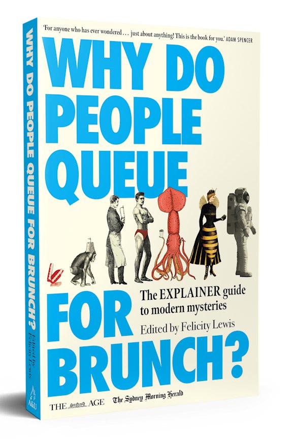 Why Do People Queue for Brunch? The Explainer Guide to Modern Mysteries.