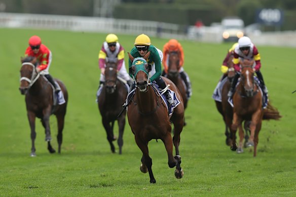 It’s the dream race. But will Sheza Alibi v Autumn Glow ever become a reality?