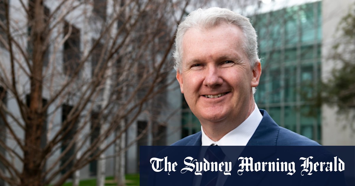 Gender pay gap: Tony Burke calls for industry-wide bargaining - Vimarsana News
