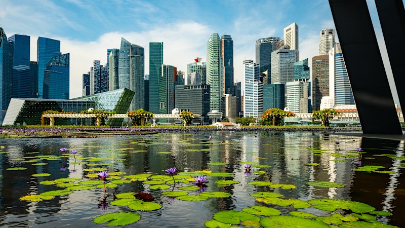 Singapore v Hong Kong in new tax cut battle for expats