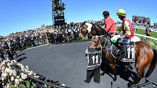 Melbourne Cup winner Knight’s Choice soaks in the adulation at Flemington.