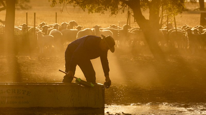 Melbourne forecast to crack 45 degrees in worst heatwave since Black Saturday