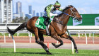 Incentivise will be a short-priced favourite in the Caulfield Cup.
