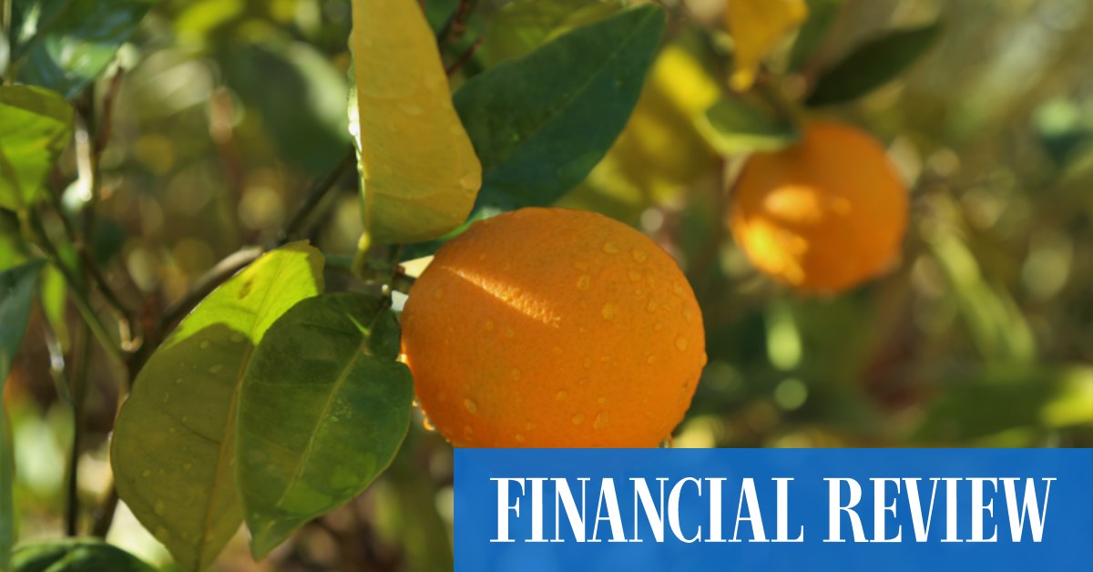 afr.com - Sarah Thompson, Kanika Sood, Emma Rapaport - BayWa-backed fruit and veg giant T&G Global floats break-up of Fresh